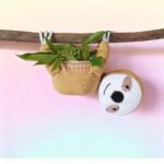 oso perezoso carmesÍ